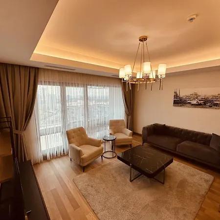Luxurious In Apartment