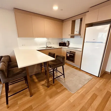 Luxurious In Apartment